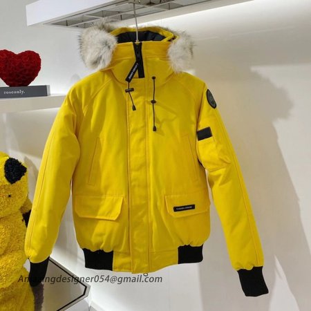 CA Goose Chilliwack Bomber Jacket Yellow